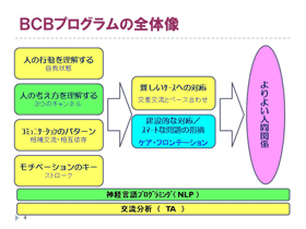 BCBプログラムの全体像