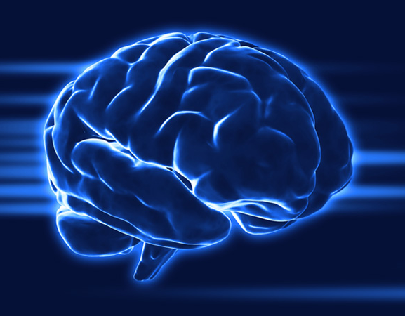 brain brain