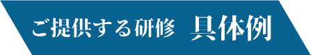 ご提供する研修　具体例