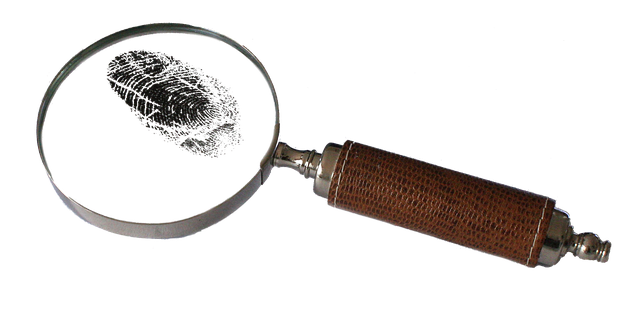 magnifying-2681372_640 magnifying-2681372_640