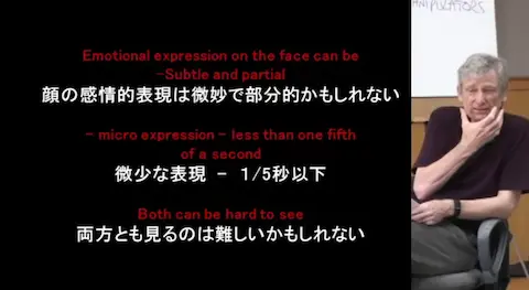 とても微妙なマイクロ表現