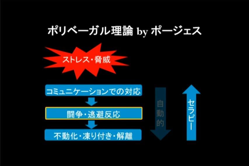 ゲシュタルトの座布団たたきは凍り付きから逃走・逃避反応のレベルに持っていくために行う。