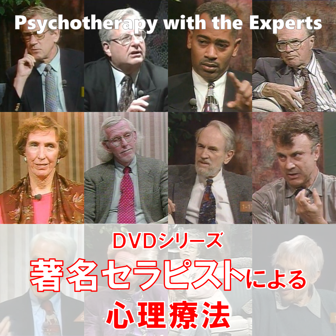 エクスパート300