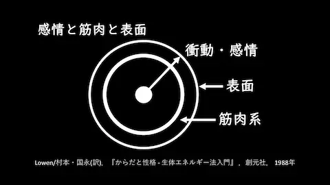 image011 筋肉の緊張は感情の表出を阻害する